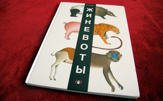 Книжка-игра «Жиневоты»